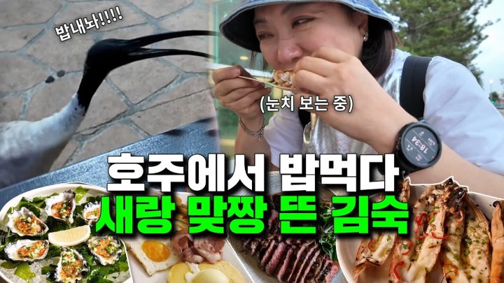 벨트풀고 시작하자(ft.대구즈)♥︎♥︎이건 꼭 먹어야해!!! 숙이의 호주여행