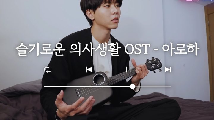 🎸아로하 커버 | 기가 막히는 우쿨렐레 연주 마스터, 슬기로운 의사생화 OST (cover)