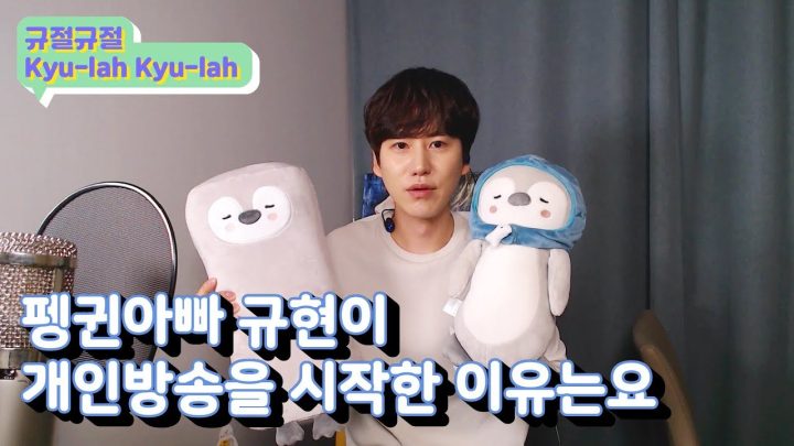 제가 개인방송을 시작한 이유는요... ∥ 규티비💬