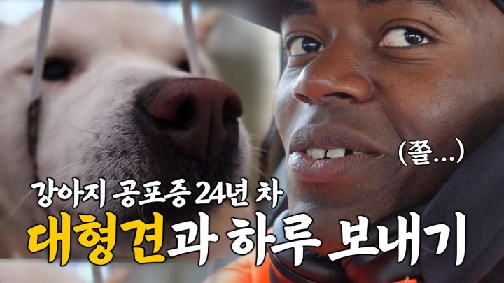 대한흑인 조나단의 보여주기식 유기견 봉사활동