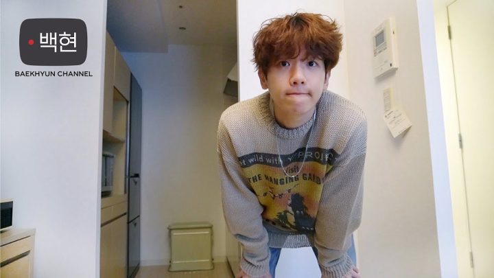백현이의 브이로그 (첸백시매지컬서커스/나의여행템/노트북/일본)