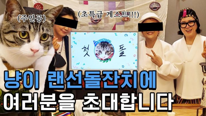 (ENG)고양이 돌잔치 ep.01 🎂ㅣ바위의 이모, 할머니까지? 셀럽 가족 총출동! 🐱