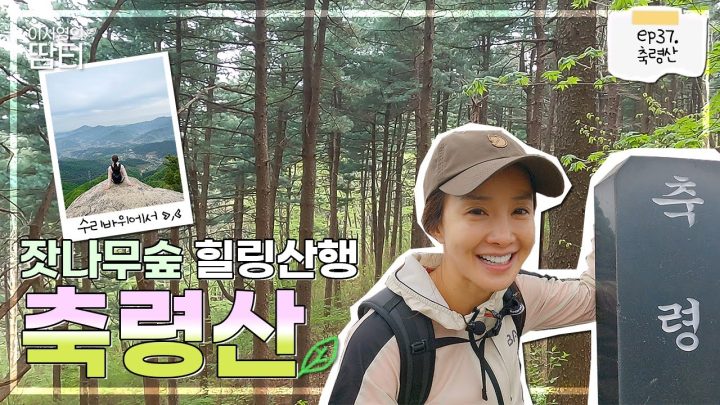 잣나무향 솔솔~ 피톤치드 듬뿍 받아가세요! 반전매력 축령산