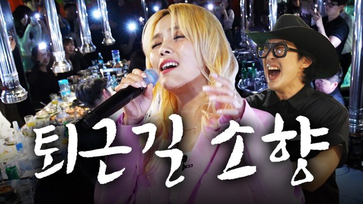 [401라이브] 퇴근 후 삼겹살에 소주 먹다가 듣는 소향의 미친 라이브  l ROSA, 애국가, 골든(Golden), 바람의 노래, 꽃비