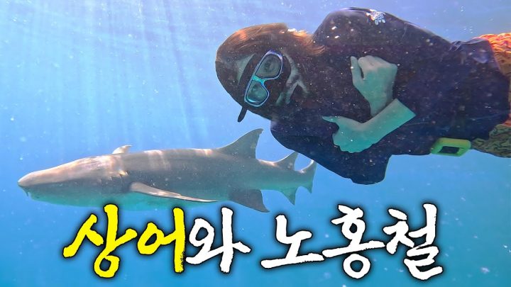 인도양 한가운데에서 상어와 친구가 된 노홍철 (물고기 공포증 극복?)