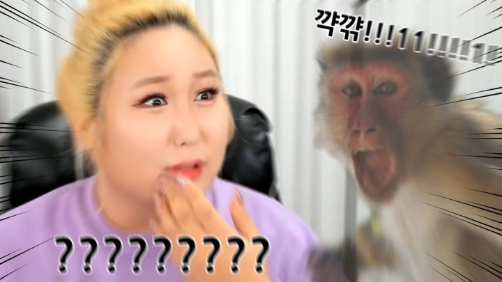 원숭이한테 뚜들겨 맞은 트젠언니ㅋㅋㅋㅋㅋㅋㅋ