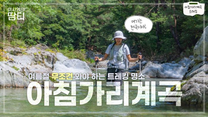 [4K] 여름에 무조건 가야하는 트레킹 코스! 아침가리계곡에서 올 마지막 여름을 보내고 왔어요! | 아침가리계곡 | 강원도 인제 | 계곡 트레킹