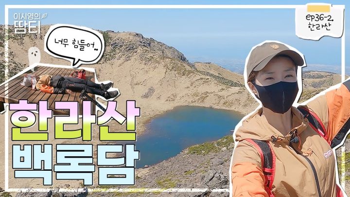 드디어 제주도에 상륙한 땀티! 아름다운 한라산 구경하고 왔어요 :)