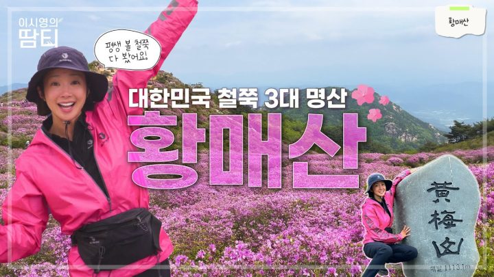 국내 최대의 철쭉 군락지, 철쭉이 만개한 황매산 다녀왔어요!
