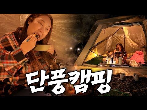 단풍나무 아래 음주캠핑 | 오리찜에 안동소주🍶