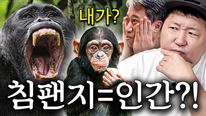 (충격)유전자가 98% 일치하는데도 같은 종이 아닌 이유🙅‍♂️🐒