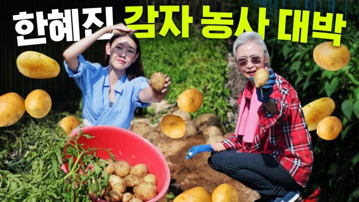 농사로 대박 터진 한혜진, 올림픽 금메달 급 감자 수확 공개 (feat. 저칼로리 먹방)