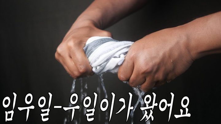 [MV] 임우일 - 우일이가 왔어요