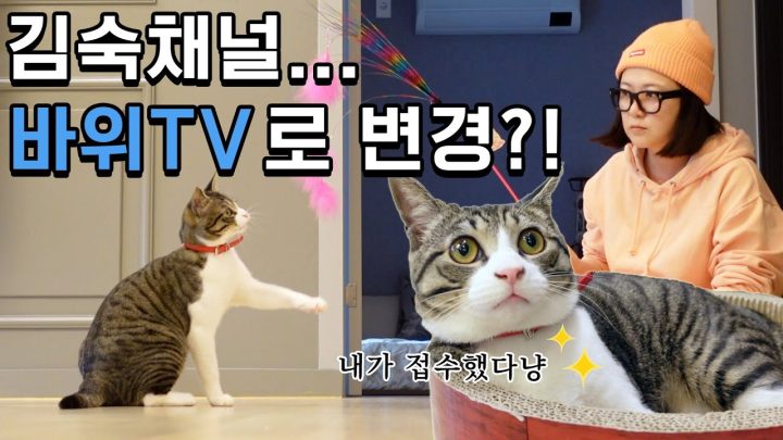 (ENG)감성집사 김숙(?), 오늘도 플렉숙했다!? 캠핑샵이 아닌 반려동물 용품샵에서.. ♡