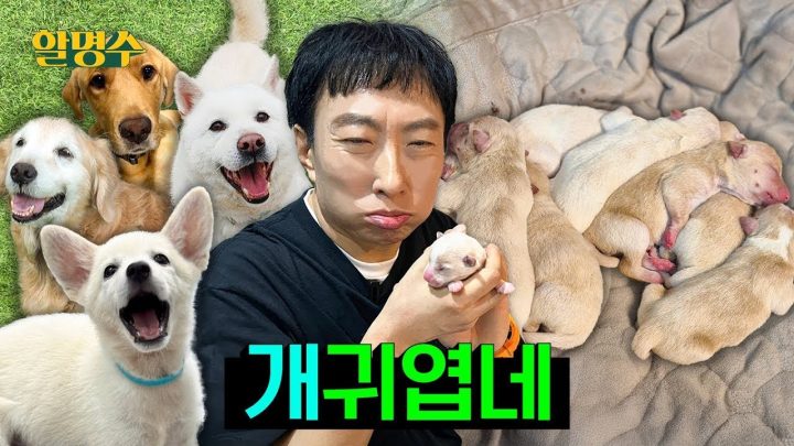(ENG) 가나디들아 나 안아.. 생일 🐶개스트들🐶 만나고 왔습니다 | 할명수 ep.258