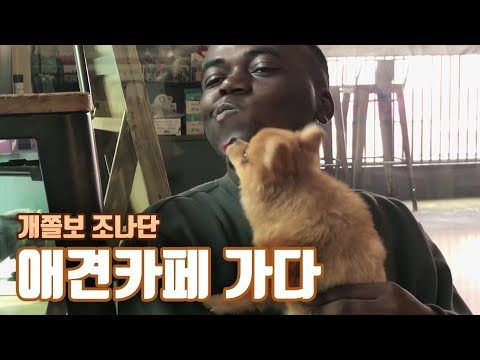 이젠 무섭지 않아...강아지 🐶