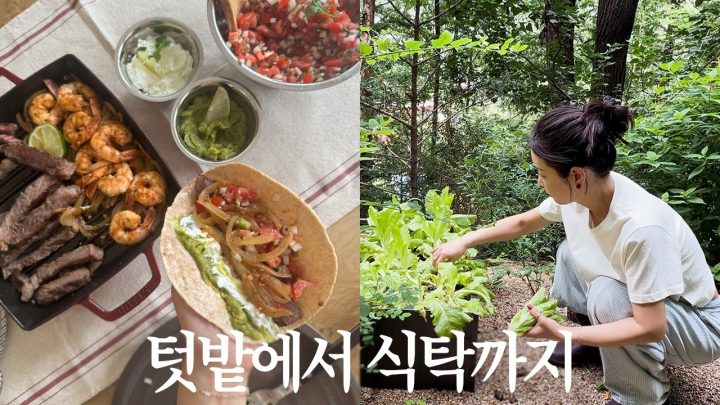 [ENG] 책과 식물, 그리고 직접 키운 채소로 만든 점심 | 타코 레시피 🌮