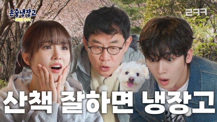 반려견 산책 시 존중을 잘하는 사람을 찾아서 | 존중냉장고 : 존잘상을 찾아서 Ep.01-1 (EN)