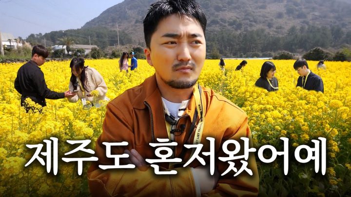 쓸쓸하지 않은 제주도 여행