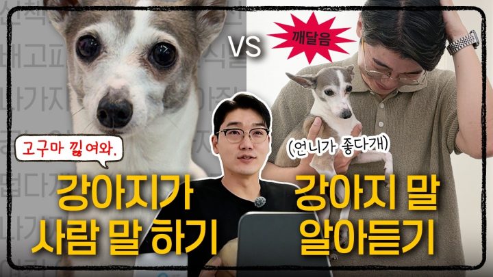 강아지가 사람 말 하는 거 감당 가능? 😵‍💫 (밸런스 게임, 예방접종, 양치, 강아지가 오래 사는 법) | 설채현 행동학 수의사