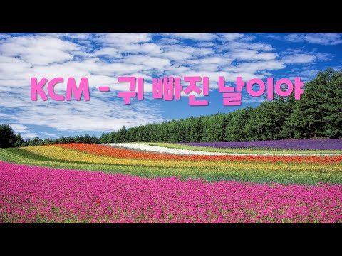 [한시간 듣기] KCM - 귀 빠진 날이야 (귀 빠진 사람이라면 남녀노소 누구나 꼭 들어야 할 KCM 생일축하송 | 1시간 연속 듣기)