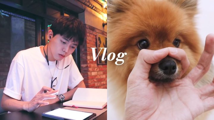 🐶 주집사와 주드로의 간식 밀당 브이로그 | DLOG VLOG 일상, 반려견