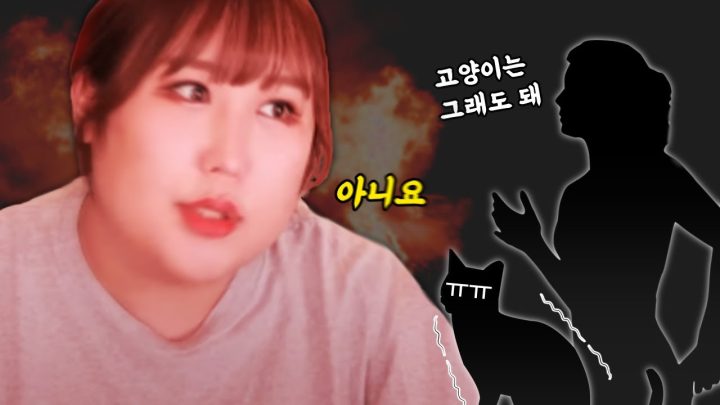 내가 키우던 고양이를 가둔 룸메이트 언니