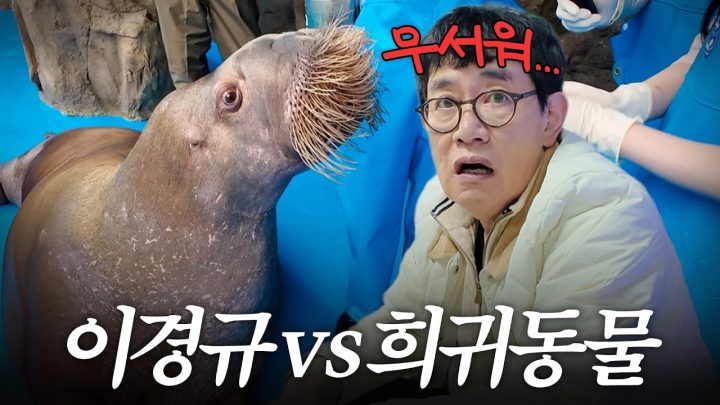 데뷔 45년 경력 이경규도 처음 만나 눈 돌아간 바다의 거대한 희귀생물🌊