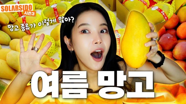 망고 종류별 먹방 (애플망고,샤쉐망고,진황망고,씨스망고)