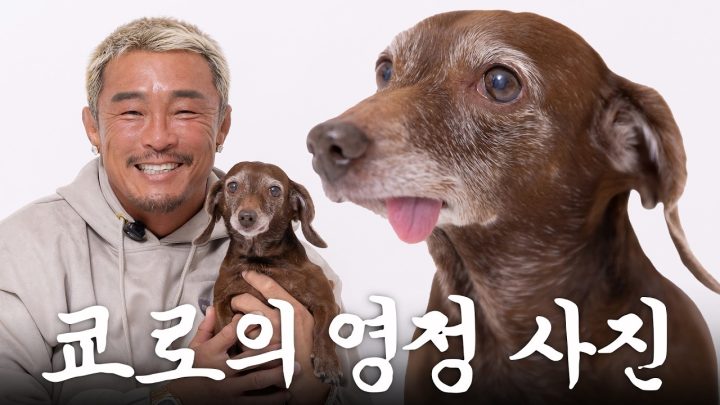 쿄로가 가장 건강하고 예쁠 때 같이 찍고 싶었숨니다 (ft.펫푸드 먹방)