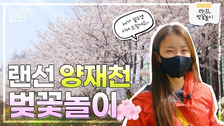 저랑 같이 '랜선' 벚꽃놀이 하실래요!?