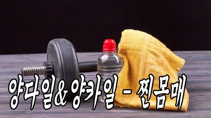 [MV] 양다일,양카일 - 찐몸매