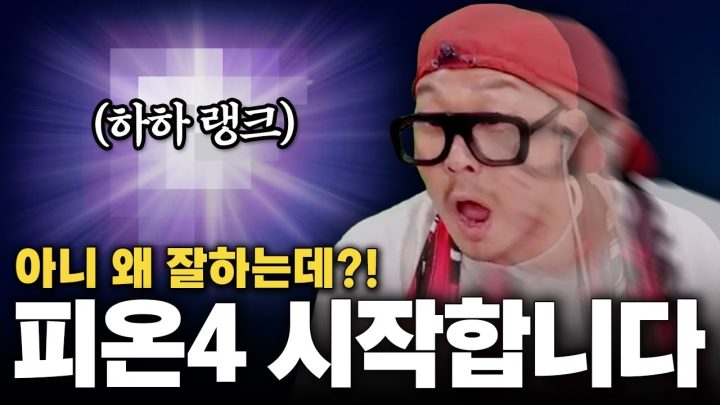 나는 마포구 피온신이다.