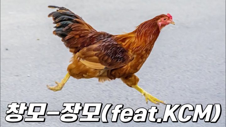 [한시간 듣기] 창모 - 장모 (feat.KCM)