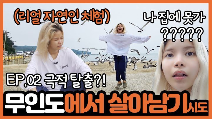 예정에도 없던 상황....무인도에 갇혔습니다...