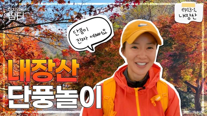 울긋불긋 단풍이 물든 내장산! 가을 단풍에 빠져들고 왔어요