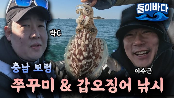 [이수근채널] 들이바다 in 보령 오천항 쭈꾸미 갑오징어 낚시 (with 박C)