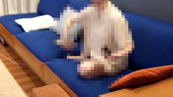 주인님 저예요 생충이.. 샤워 좀 해도 될까요