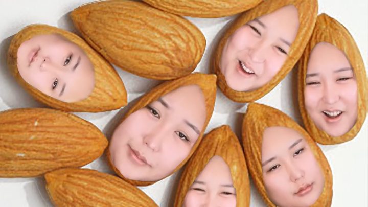 안녕하세요 아몬드입니다