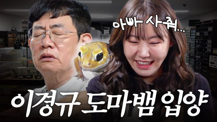 강아지 고양이로 만족 못해 딸이랑 '각종 파충류' 만나러 간 이경규 (백만유튜버 다흑)