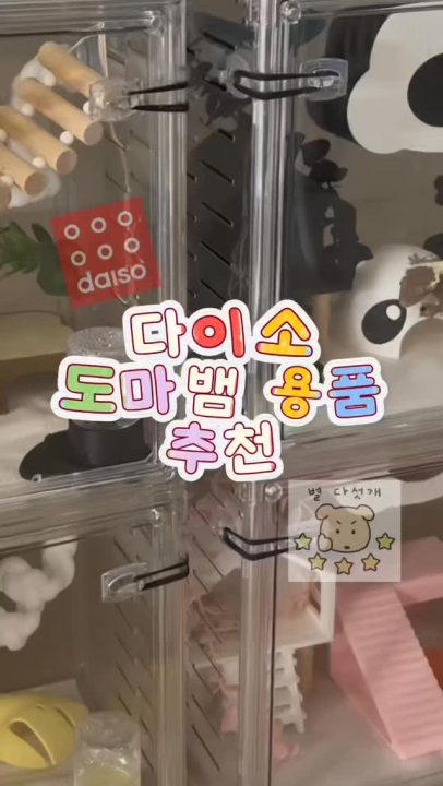 파충류 용품