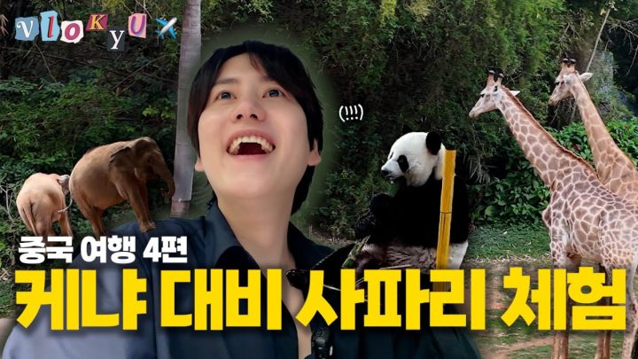 [SUB] 드디어 기린영상 풉니다!  미쳐버린(positive) 광저우 동물원 클라스⎟창롱동물원⎟조’무계획’의 중국여행기 ep.4