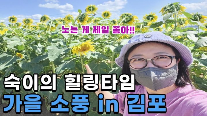 (ENG)차박 대신 떠난 차크닉🚙 보부상 숙이의 피크닉 준비물은?😎