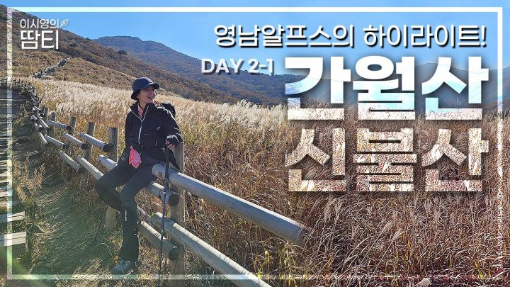 🌾영남알프스 Day 2-1ㅣ영남알프스의 하이라이트!! 눈앞에 황금빛 억새가 끊임없이 펼쳐졌던 간월산과 신불산😍