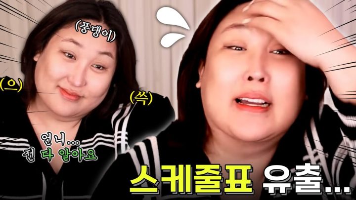풍자 스케줄표 유출 사건