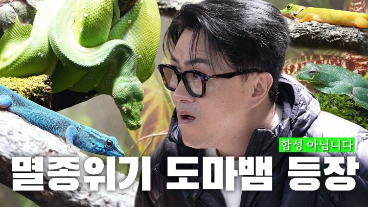 [전국자랑대회] 코쿤, 김대호 단골집 점검! | 동물원에서도 보기 힘든 파충류에게 집을 지어주는 남자