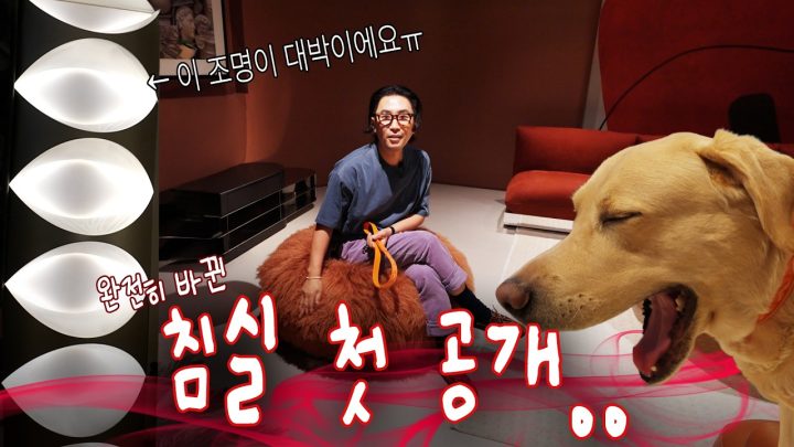 발품부터 당근까지 우당탕탕 침실 인테리어 대작전