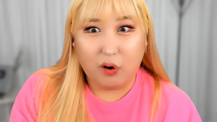 네?? 아이돌이라구요?