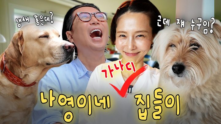 친구네 놀러갔는데 나보다 먼저 놀러온 강아지가 있다