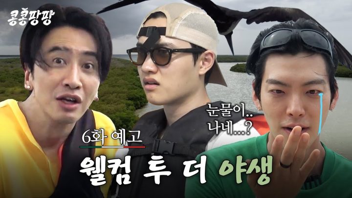 [6화 예고] 새가 물잖아! 악어 있잖아! 🐊 비명이 난무하는 KKPP푸드 야생 탐방#콩콩팡팡 EP.6